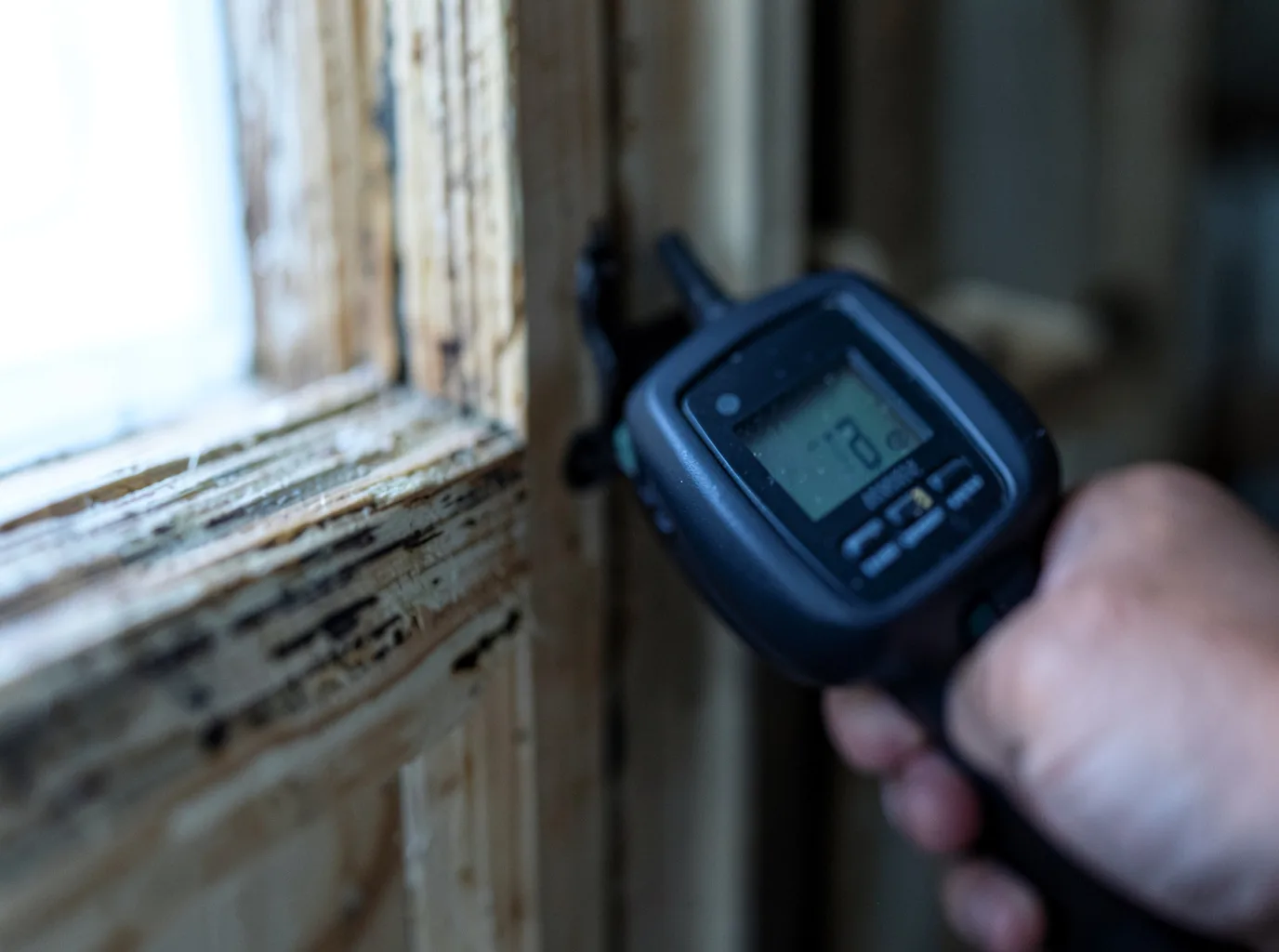 Moisture Inspection And Documentation in Lemitar, NM